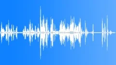 Leachs Petrel CU Calls Sound Effect