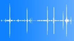 Leachs Petrel CU CallsSound Effect