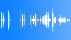 Leachs Storm Petrel CUSound Effect