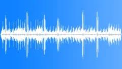 Leachs Storm Petrel CUSound Effect