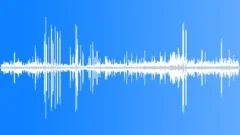 Leachs Storm PetrelSound Effect