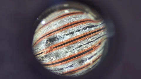 Lead Acid Battery Sulfation Stock Footage 247691625