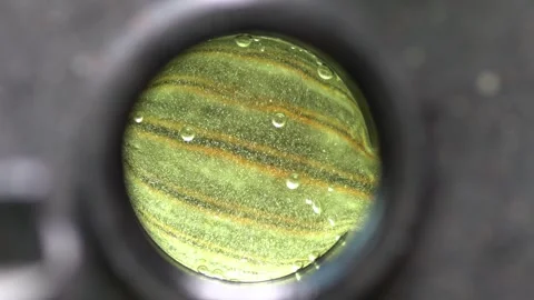 Lead Acid Battery Sulfation Stock Footage 247691775