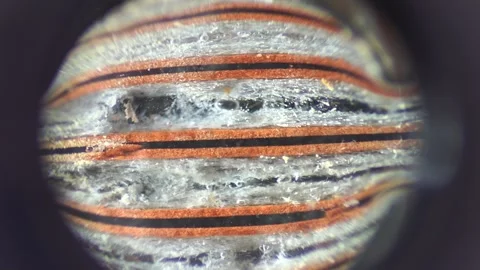 Lead Acid Battery Sulfation Vídeos de archivo 285315070