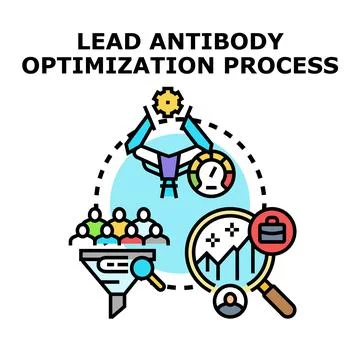 Lead antibody optimization process for medical research Stock Illustration