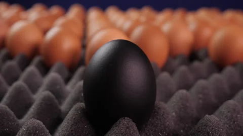 Lead the way and stand out from the crowd, business concept with lots of eggs Stock Footage 175278696