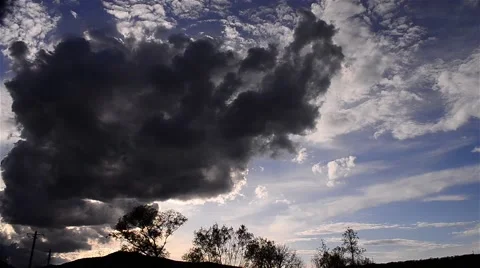 Leaden clouds over sparse trees Stock Footage 58815674