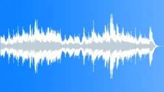 Leader 03Stock Music