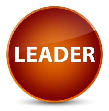 Leader elegant brown round button Stock Illustration
