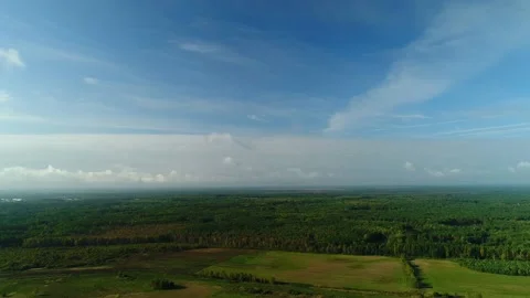 The leader leads a flock of cranes during the migration of birds to the south. Stock-Footage 213022973