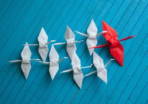 Leader of the pack Stock Photos