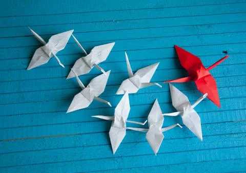 Leader of the pack Stock Photos