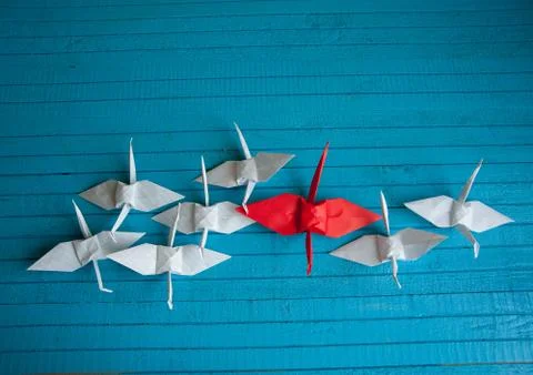 Leader of the pack Stock Photos