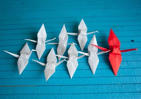 Leader of the pack Stock Photos