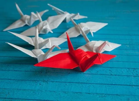 Leader of the pack Stock Photos