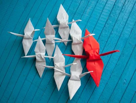 Leader of the pack Stock Photos