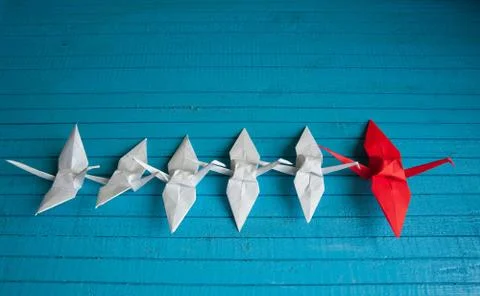 Leader of the pack Stock Photos