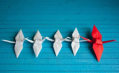 Leader of the pack Stock Photos