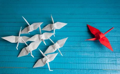 Leader of the pack Stock Photos