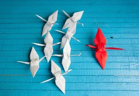 Leader of the pack Stock Photos