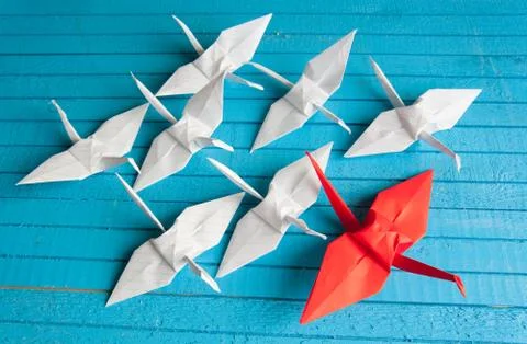 Leader of the pack Stock Photos