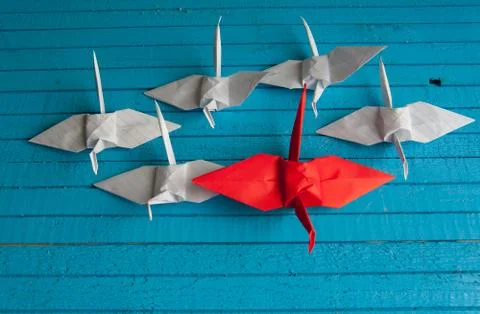 Leader of the pack Stock Photos