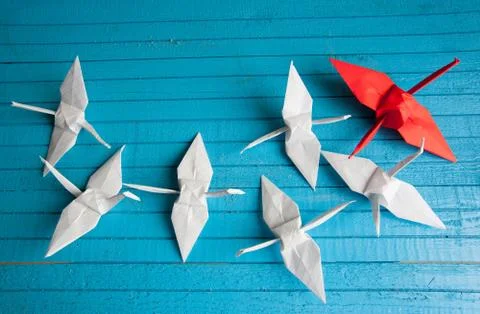 Leader of the pack Stock Photos