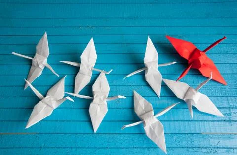 Leader of the pack Stock Photos