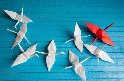 Leader of the pack Stock Photos