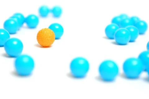 Leader of the Pack Stock Photos