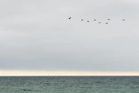 Leader in the Sky Stock Photos