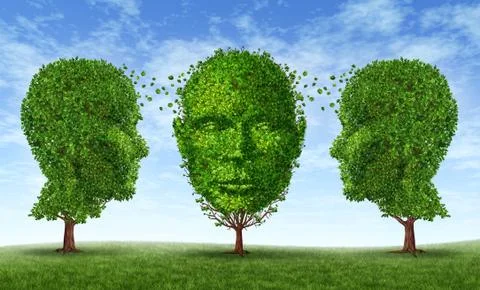 Leadership and learning 库存插图