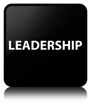 Leadership black square button Illustrazione stock