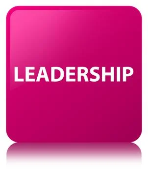Leadership pink square button イラスト素材