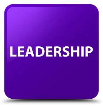 Leadership purple square button Stockillustratie