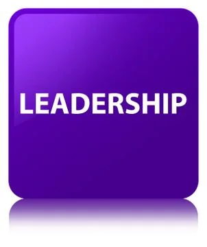 Leadership purple square button Illustrazione stock