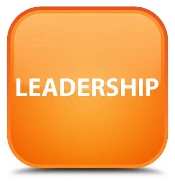 Leadership special orange square button Illustrazione stock