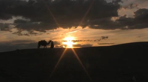 Leading a camel through the beautiful sunset sahara desert sand dunes Video stock 8658486