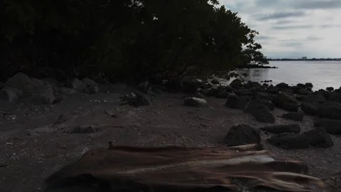 Leading line out of Flat wide piece of drift wood on Florida  beach sand Stock Footage 260635934
