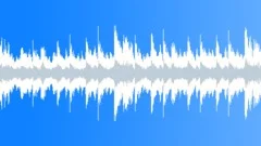 Leading The Market (Loop 01) Stock Music