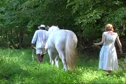 Leading into Sunday Stock Footage 125639585