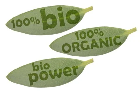 Leaf 100 organic word set Stock Photos