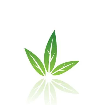 Leaf 6 Stock Illustration