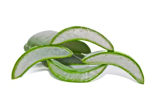 Leaf of aloe Stock Photos