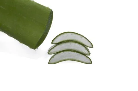 Leaf of aloe Stock Photos