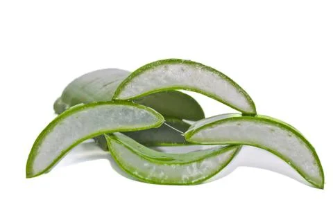 Leaf of aloe Stock Photos