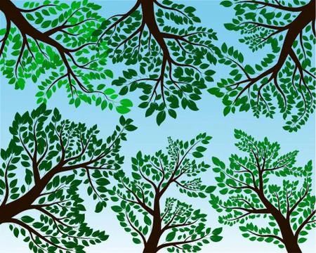 Leaf and branch illustration image Stock Illustration
