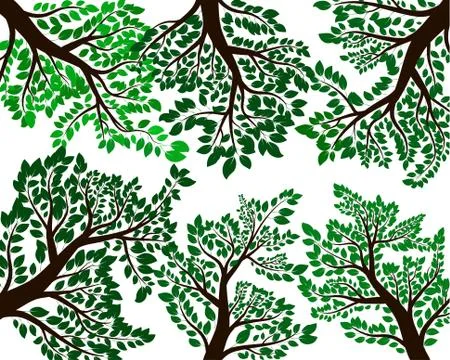 Leaf and branch illustration image Stock Illustration