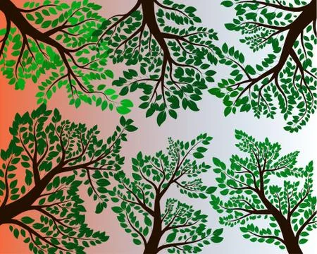 Leaf and branch illustration image Stock Illustration