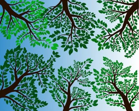 Leaf and branch illustration image Stock Illustration